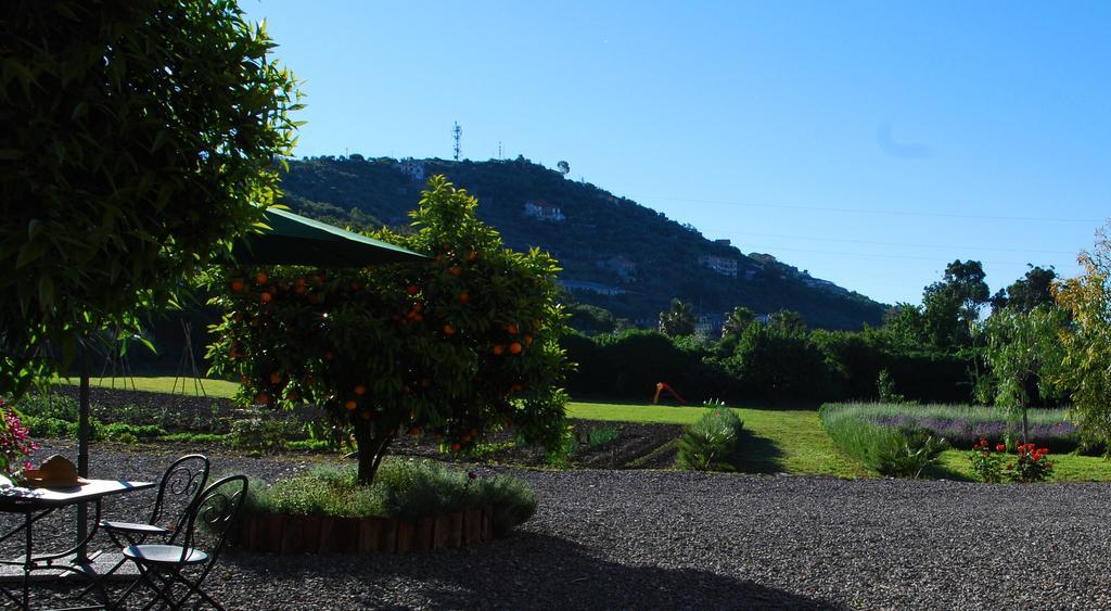 Agriturismo Coppi Rossi Torrazza  エクステリア 写真